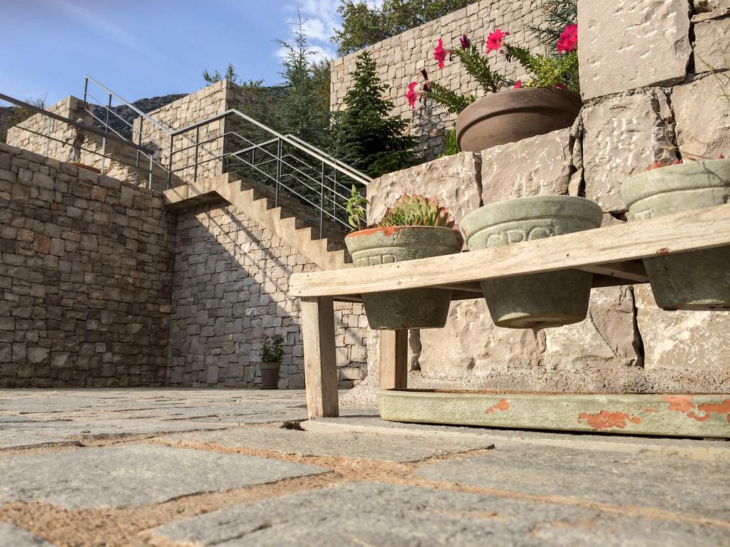 Elafivolia Arachova Suites Exteriör bild